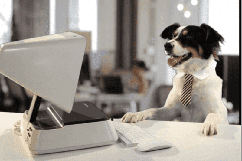 Dog wearing a tie sitting in front of a vintage computer